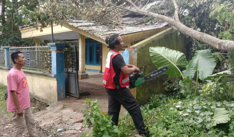 WhatsApp Image 2026-01-05 at 17.12.35