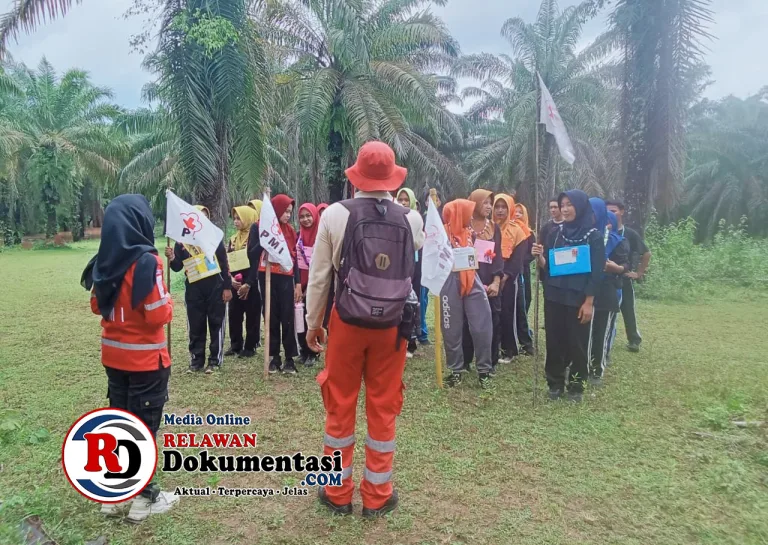 WhatsApp Image 2026-01-17 at 17.20