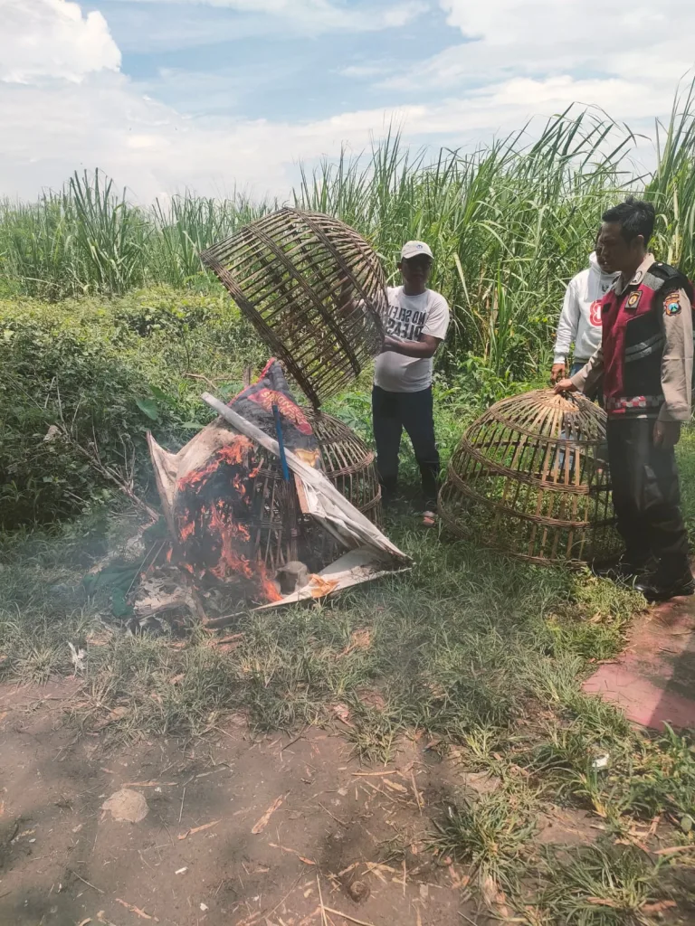 WhatsApp Image 2026-02-01 at 18.36.58 (1)