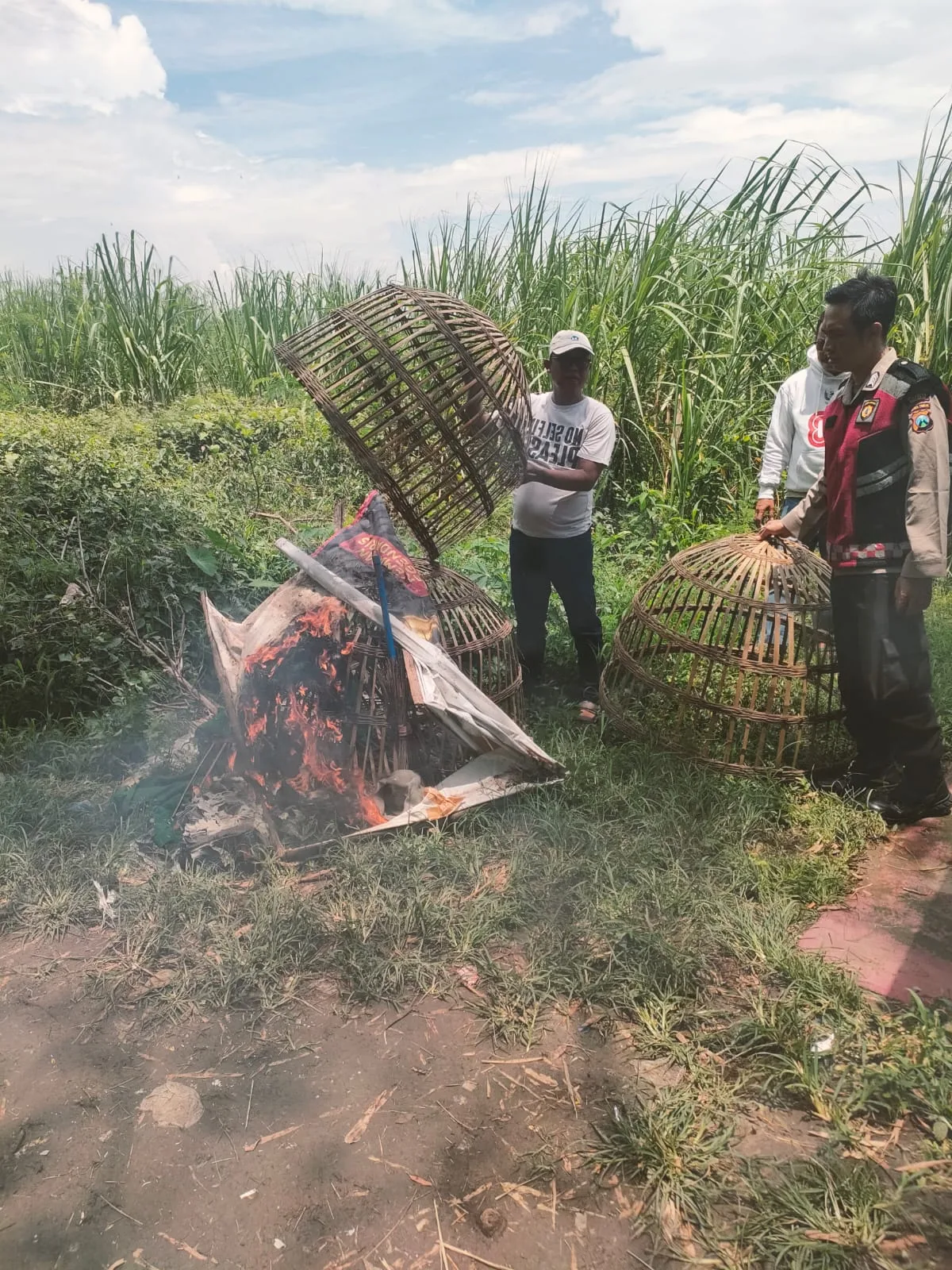 WhatsApp Image 2026-02-01 at 18.36.58 (1)