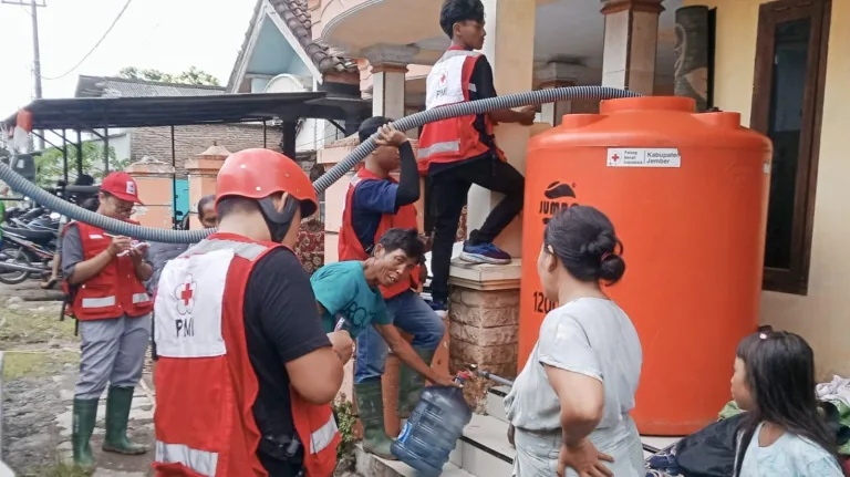 WhatsApp Image 2026-02-14 at 20.02.26