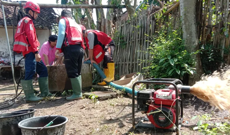 WhatsApp Image 2026-02-15 at 15.24.28